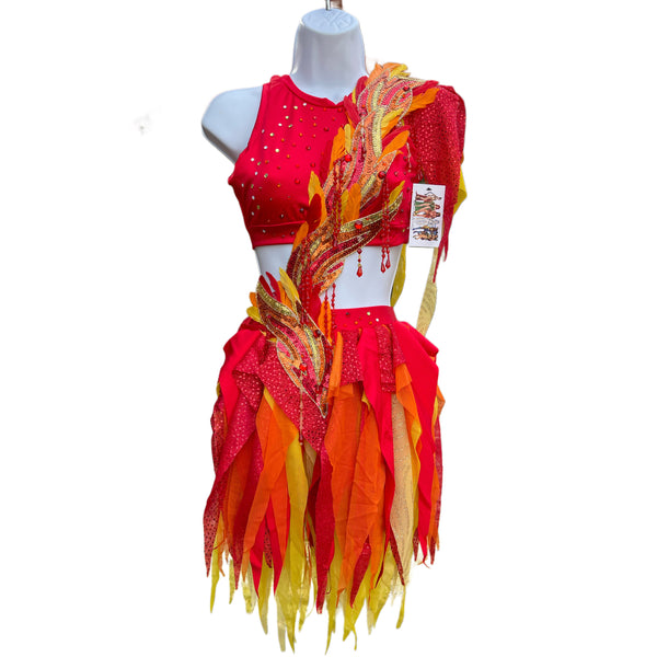 Girl On Fire Phoenix Monokini Fairy Dance Costume Rave Bra Halloween