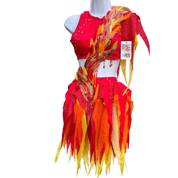 Girl On Fire Phoenix Monokini Fairy Dance Costume Rave Bra Halloween