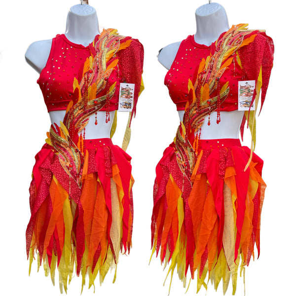 Girl On Fire Phoenix Monokini Fairy Dance Costume Rave Bra Halloween