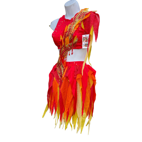 Girl On Fire Phoenix Monokini Fairy Dance Costume Rave Bra Halloween