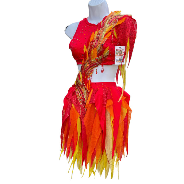 Girl On Fire Phoenix Monokini Fairy Dance Costume Rave Bra Halloween