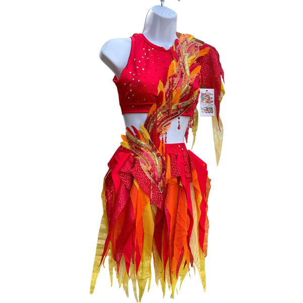 Girl On Fire Phoenix Monokini Fairy Dance Costume Rave Bra Halloween