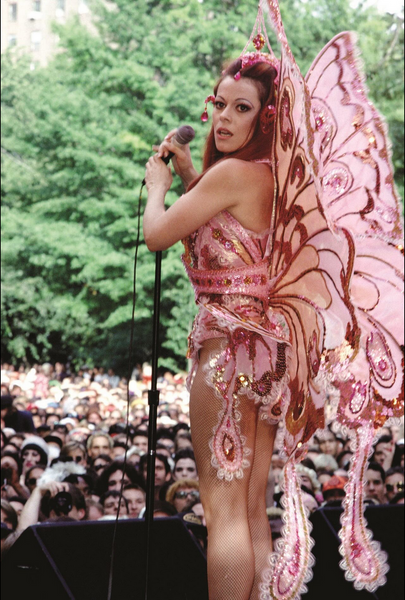 Custom Order - Butterfly Costume