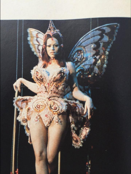 Custom Order - Butterfly Costume